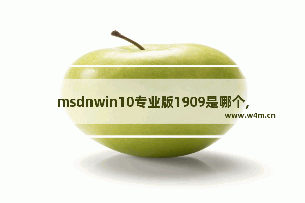 msdnwin10专业版1909是哪个,win10 1909 iso