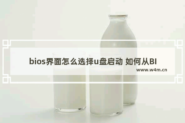 bios界面怎么选择u盘启动 如何从BIOS中选择U盘启动