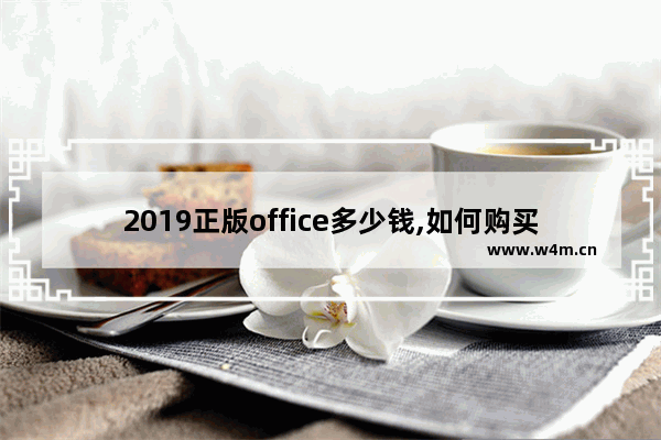 2019正版office多少钱,如何购买正版office2019