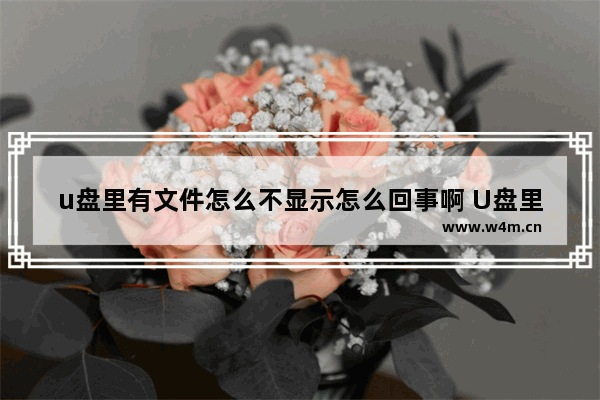 u盘里有文件怎么不显示怎么回事啊 U盘里的文件为何不见了？