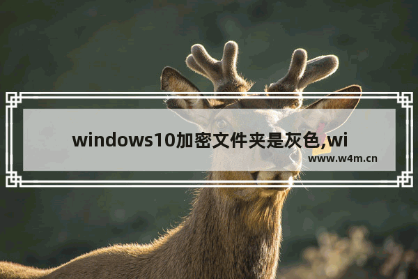 windows10加密文件夹是灰色,win10文件夹加密灰色怎么取消