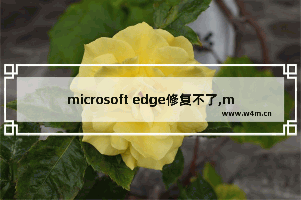 microsoft edge修复不了,microsoft edge损坏