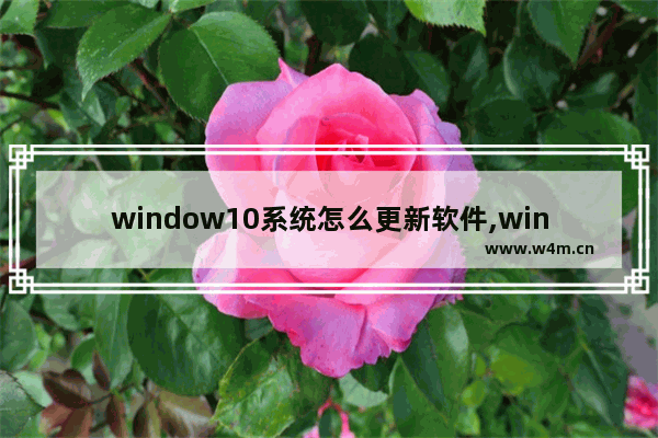 window10系统怎么更新软件,win10怎么给软件升级