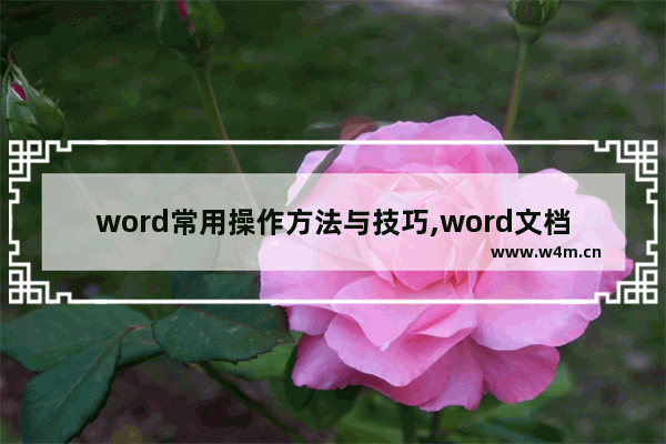 word常用操作方法与技巧,word文档的使用技巧