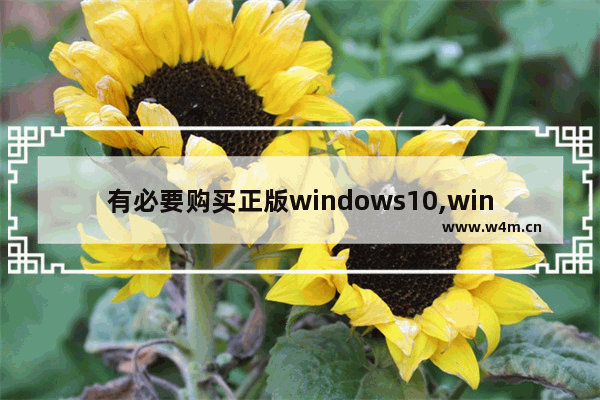 有必要购买正版windows10,windows10怎么买正版