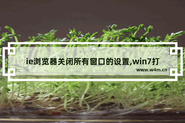 ie浏览器关闭所有窗口的设置,win7打开或关闭功能没有ie