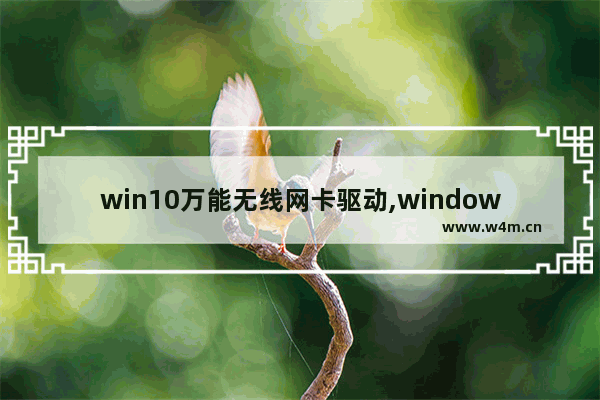 win10万能无线网卡驱动,window10万能网卡驱动