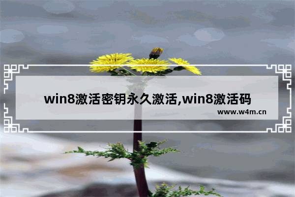 win8激活密钥永久激活,win8激活码密钥在哪里