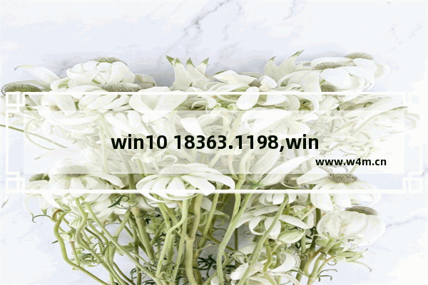 win10 18363.1198,win10更新失败21h1