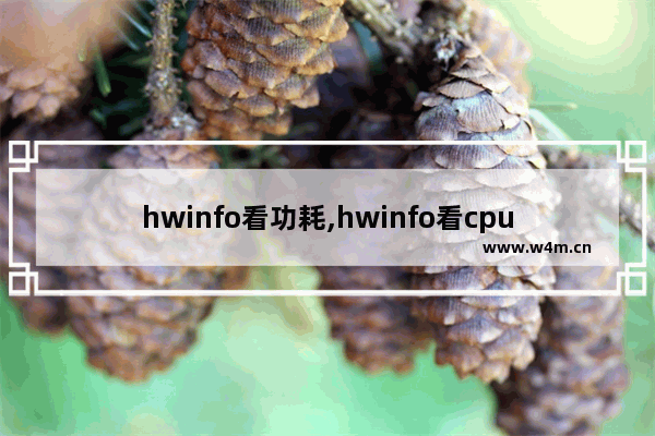 hwinfo看功耗,hwinfo看cpu体质