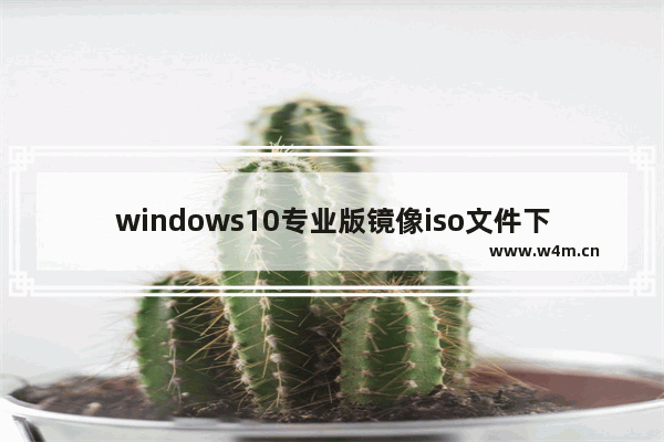 windows10专业版镜像iso文件下载,win10原版系统iso镜像下载