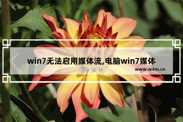 win7无法启用媒体流,电脑win7媒体流找不到