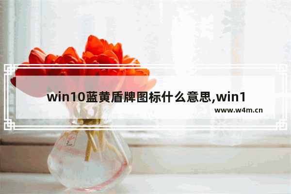 win10蓝黄盾牌图标什么意思,win10软件右下角黄蓝盾牌