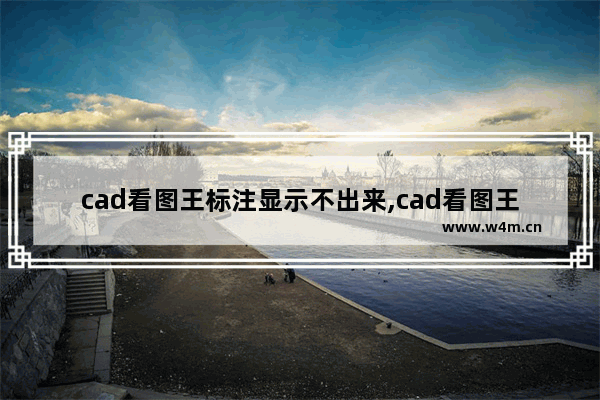 cad看图王标注显示不出来,cad看图王怎么批注