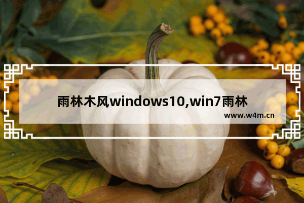 雨林木风windows10,win7雨林木风下载_2