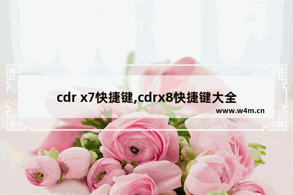 cdr x7快捷键,cdrx8快捷键大全汇总