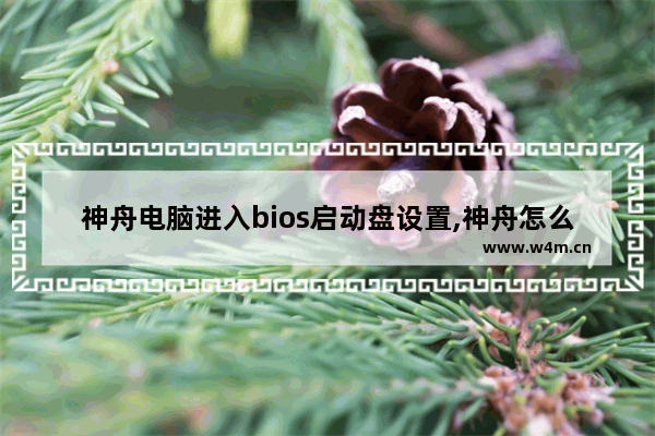 神舟电脑进入bios启动盘设置,神舟怎么进入bios设置u盘启动