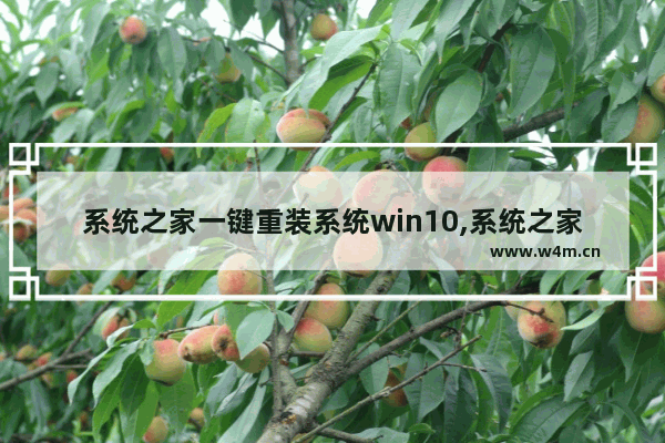 系统之家一键重装系统win10,系统之家装机大师一键重装系统