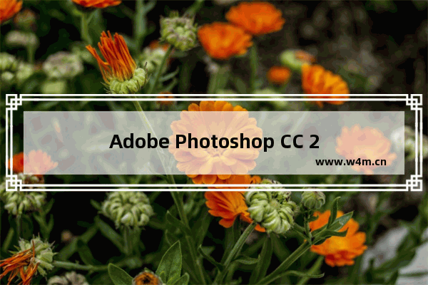 Adobe Photoshop CC 2017,adobe photoshop CC 2018