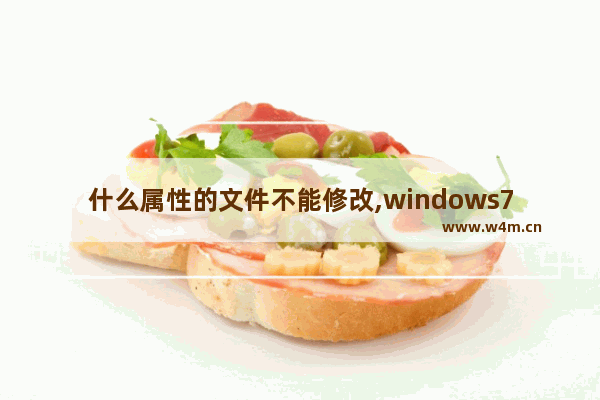 什么属性的文件不能修改,windows7如何更改文件属性