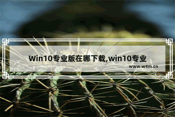 Win10专业版在哪下载,win10专业版如何激活