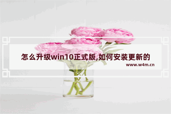 怎么升级win10正式版,如何安装更新的Windows10