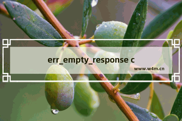 err_empty_response chrome,谷歌浏览器err empty response