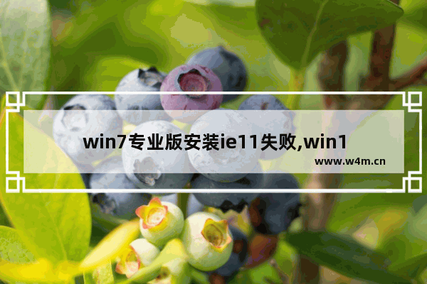 win7专业版安装ie11失败,win10 ie11闪退