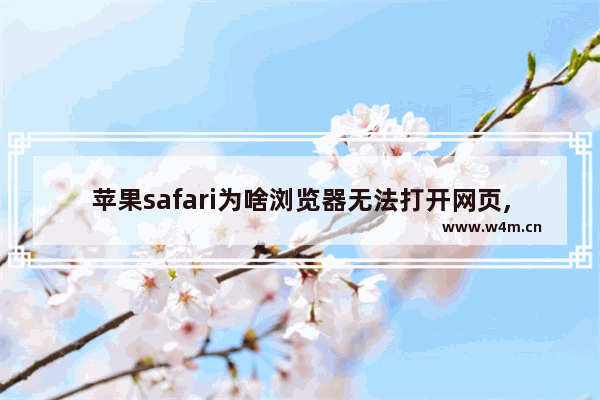 苹果safari为啥浏览器无法打开网页,safari浏览器无法打开网页怎么办苹果电脑