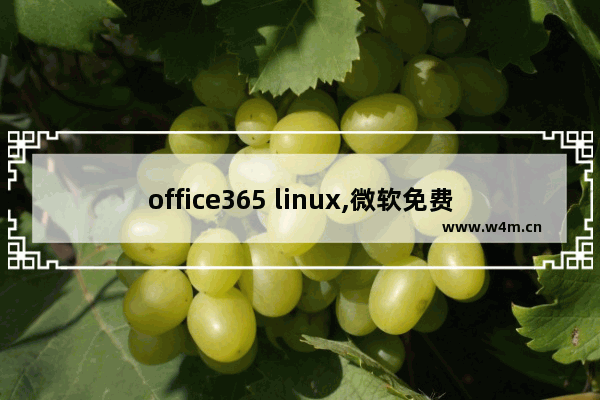 office365 linux,微软免费office365