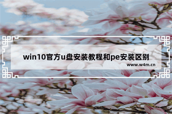 win10官方u盘安装教程和pe安装区别,windows10安装教程