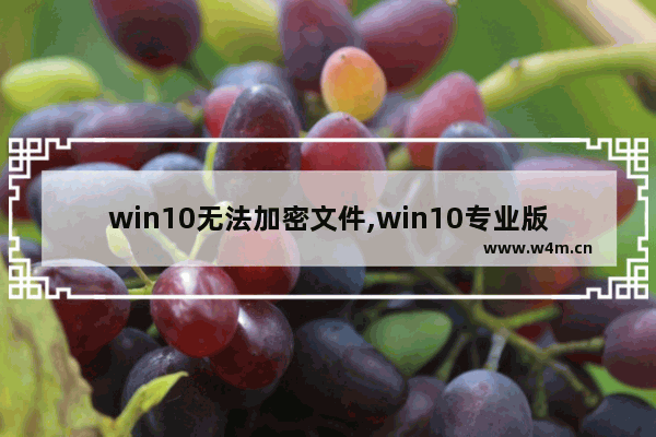 win10无法加密文件,win10专业版怎么加密文件夹