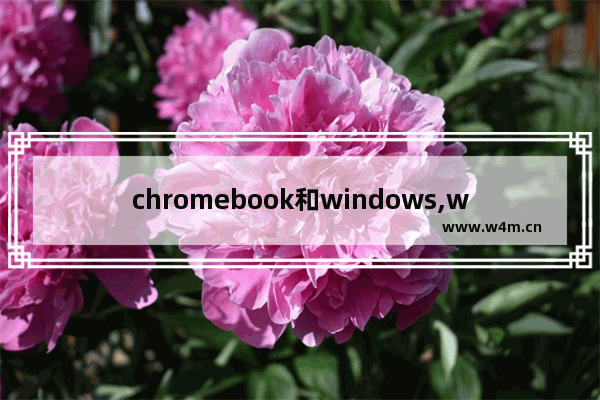 chromebook和windows,windows10上的chrome