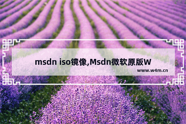 msdn iso镜像,Msdn微软原版Win10镜像