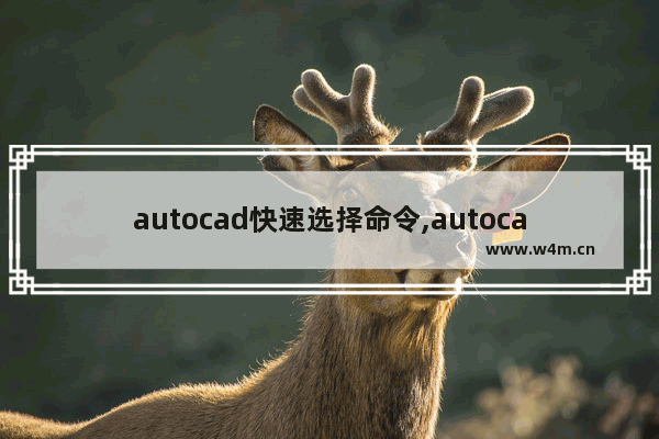 autocad快速选择命令,autocad如何快速选择图形