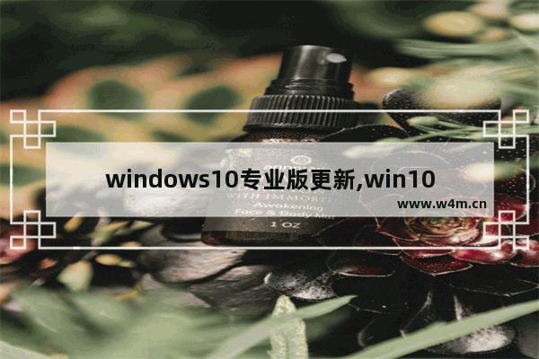 windows10专业版更新,win10专业版怎么升级版本