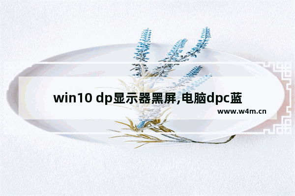 win10 dp显示器黑屏,电脑dpc蓝屏