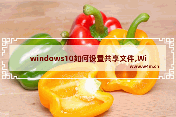 windows10如何设置共享文件,Win10设置共享文件