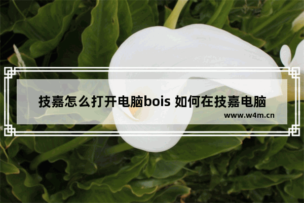 技嘉怎么打开电脑bois 如何在技嘉电脑中进入 BIOS？