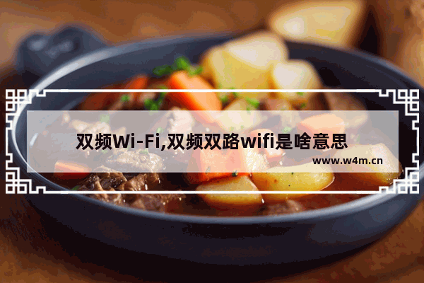 双频Wi-Fi,双频双路wifi是啥意思