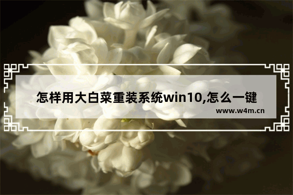 怎样用大白菜重装系统win10,怎么一键安装win10系统