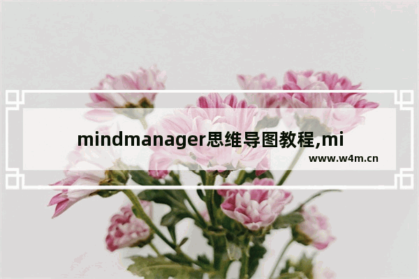 mindmanager思维导图教程,mind master思维导图怎么画流程图