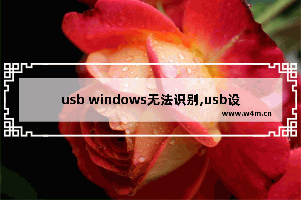 usb windows无法识别,usb设备运行不正常windows无法识别怎么办