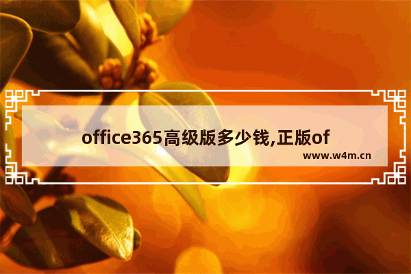 office365高级版多少钱,正版office365多少钱