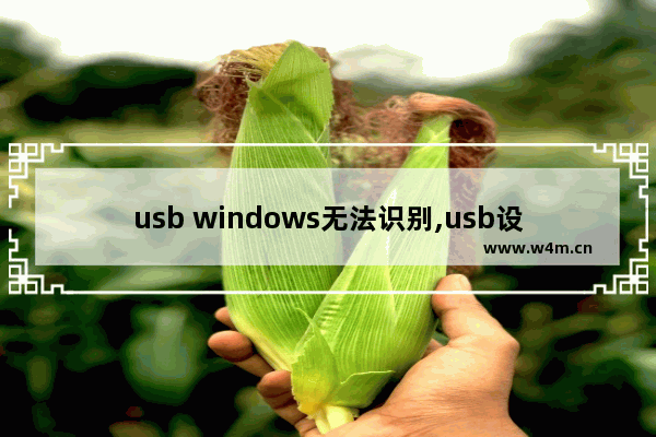 usb windows无法识别,usb设备运行不正常windows无法识别怎么办