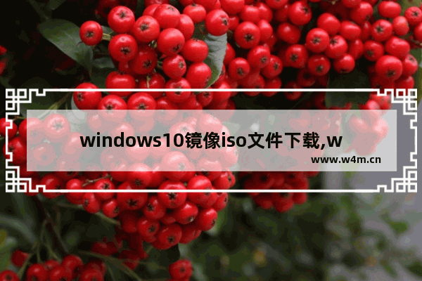 windows10镜像iso文件下载,windows10正式版官方原版镜像iso下载地址