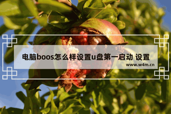 电脑boos怎么样设置u盘第一启动 设置电脑U盘启动顺序方法