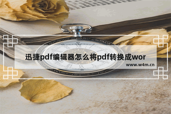 迅捷pdf编辑器怎么将pdf转换成word,用pdf转换器怎么把PDF转化为word并编辑