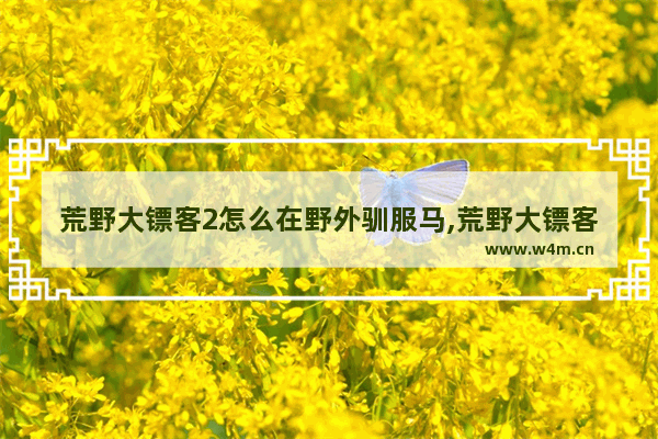 荒野大镖客2怎么在野外驯服马,荒野大镖客2怎么驯马-驯服方法技巧介绍