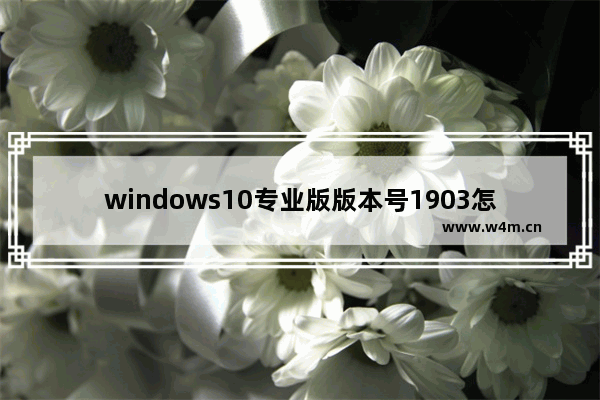 windows10专业版版本号1903怎么激活,win101909专业版激活码